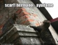 /album/images-33/scar-hermano-ayudame-jpg/